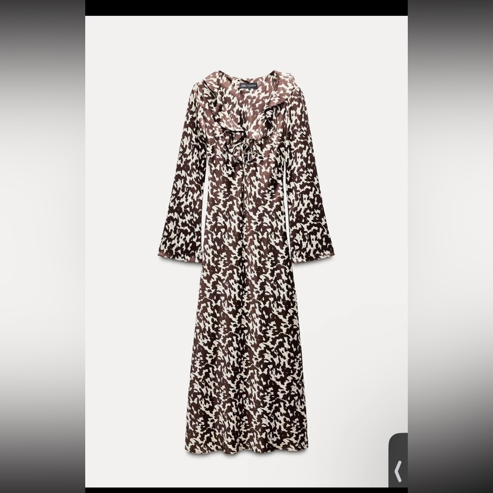 Zara Dress